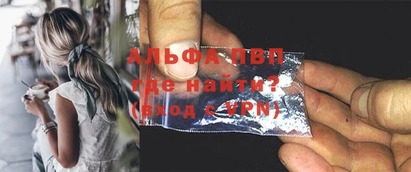 индика Бронницы