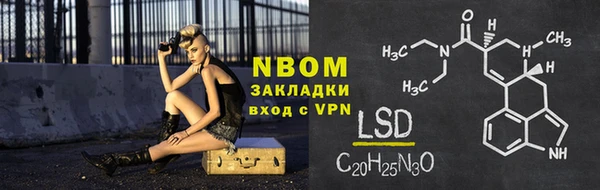 индика Бронницы