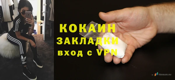 индика Бронницы