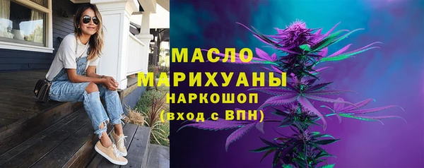 индика Бронницы