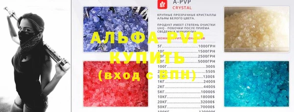 индика Бронницы