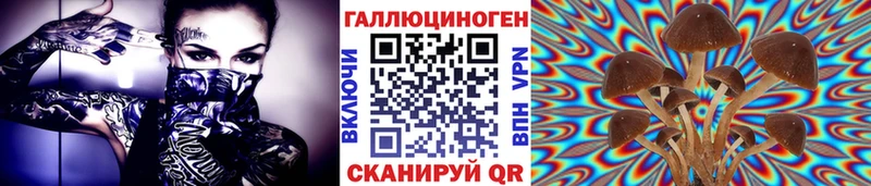 hydra как зайти  Дрезна  Псилоцибиновые грибы Psilocybine cubensis 